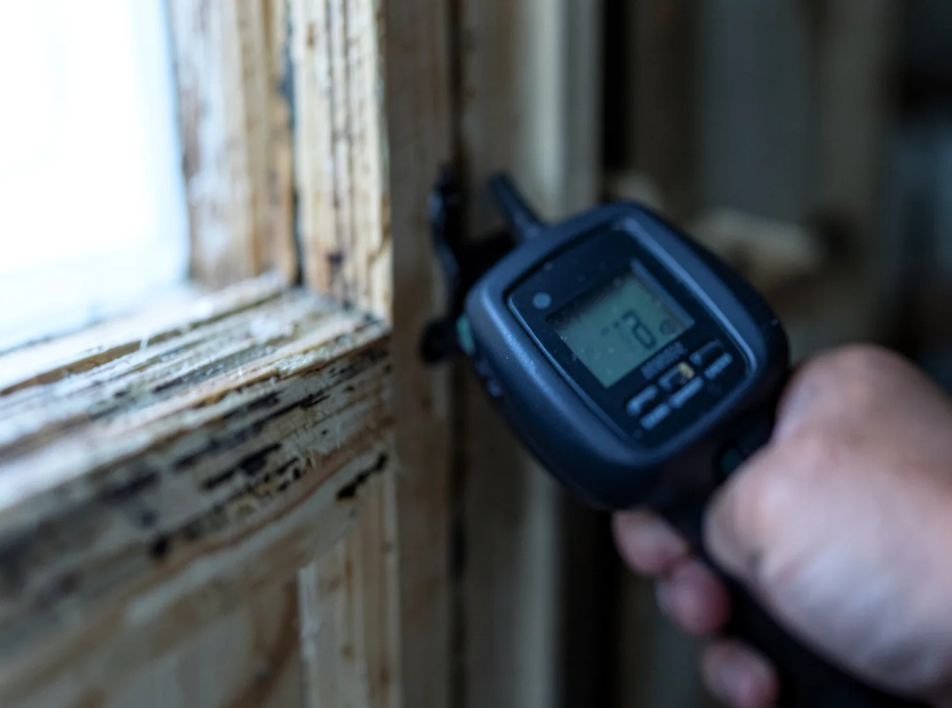 Moisture Inspection And Documentation in Johns Island, SC